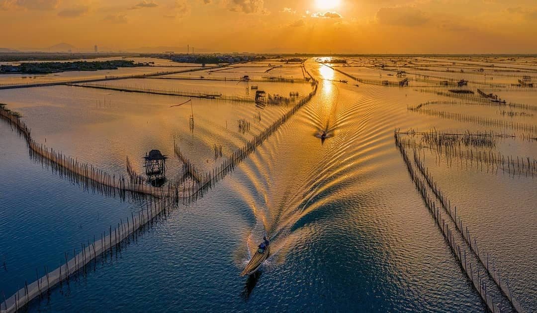 Tour Ngắm Bình Minh Đầm Chuồn Nửa Ngày