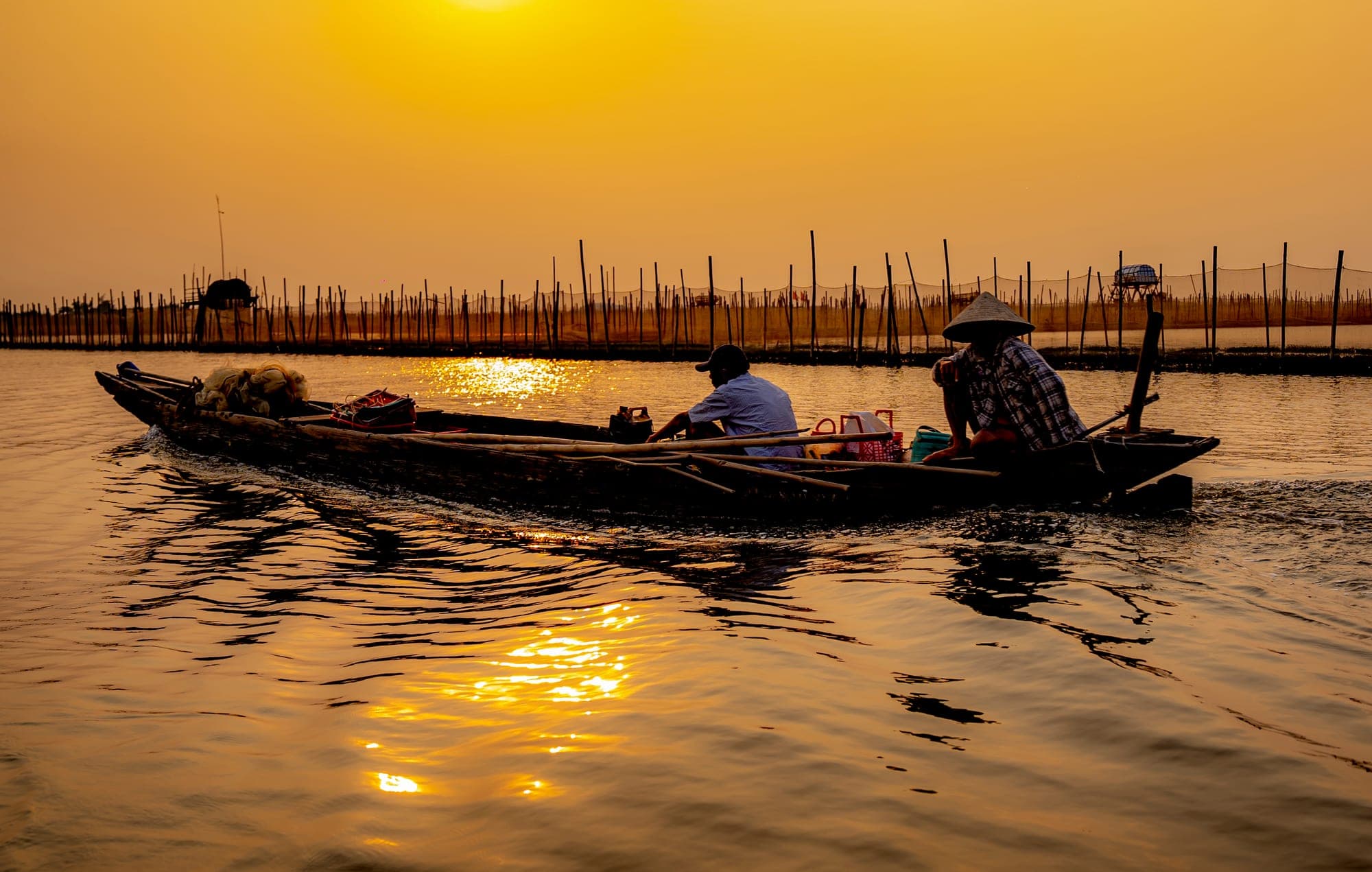 Hoa sen giấy Thanh Tiên